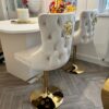 Lion Ring Baar Stools